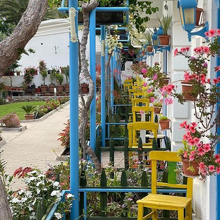 Sunmed Lodge Oludeniz Kültér fotó