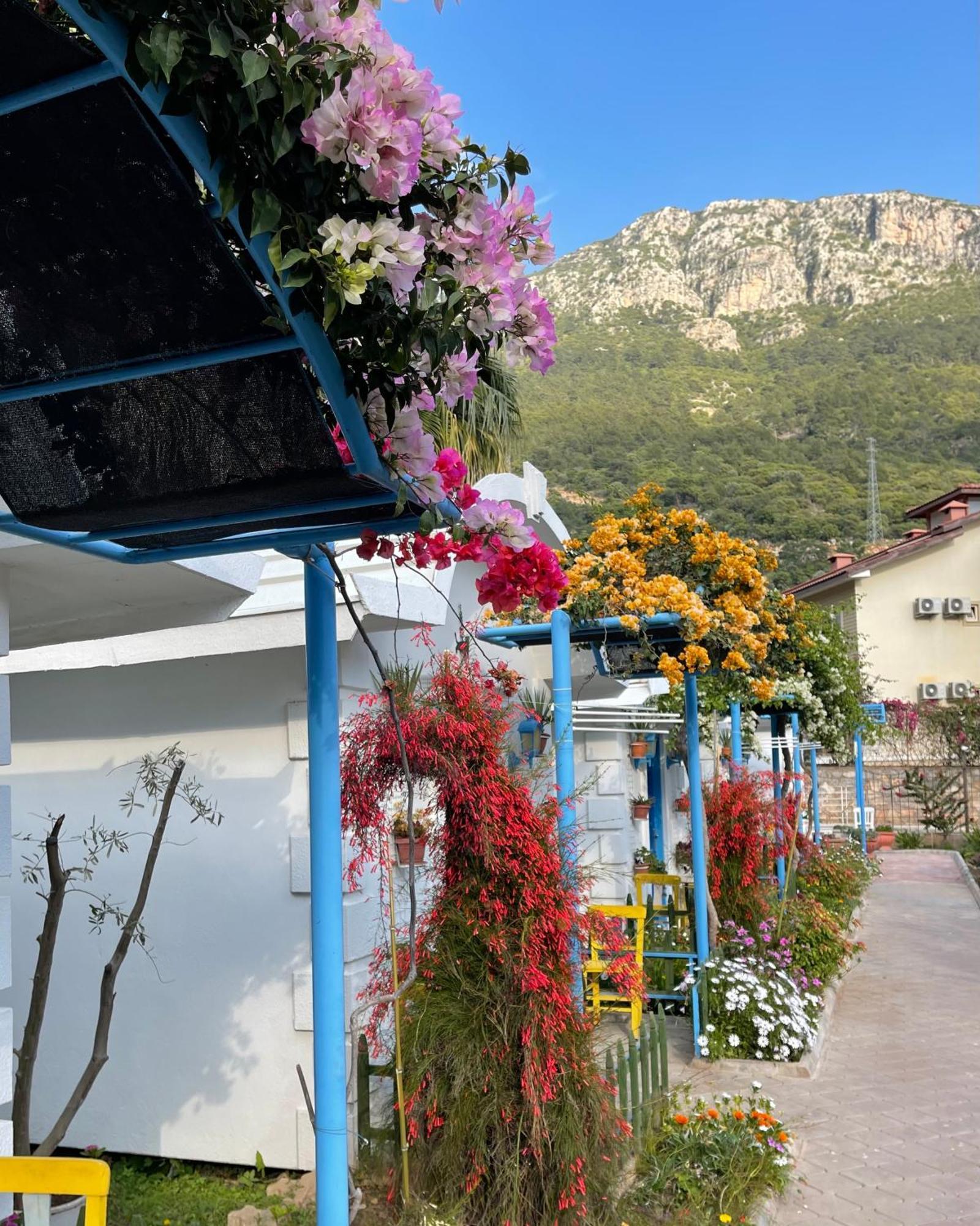 Sunmed Lodge Oludeniz Kültér fotó